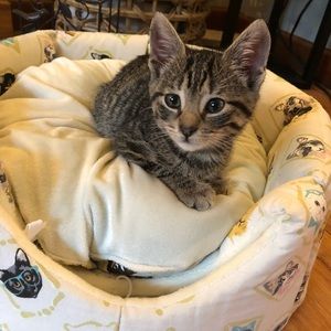 Meet your Posher, Nichole